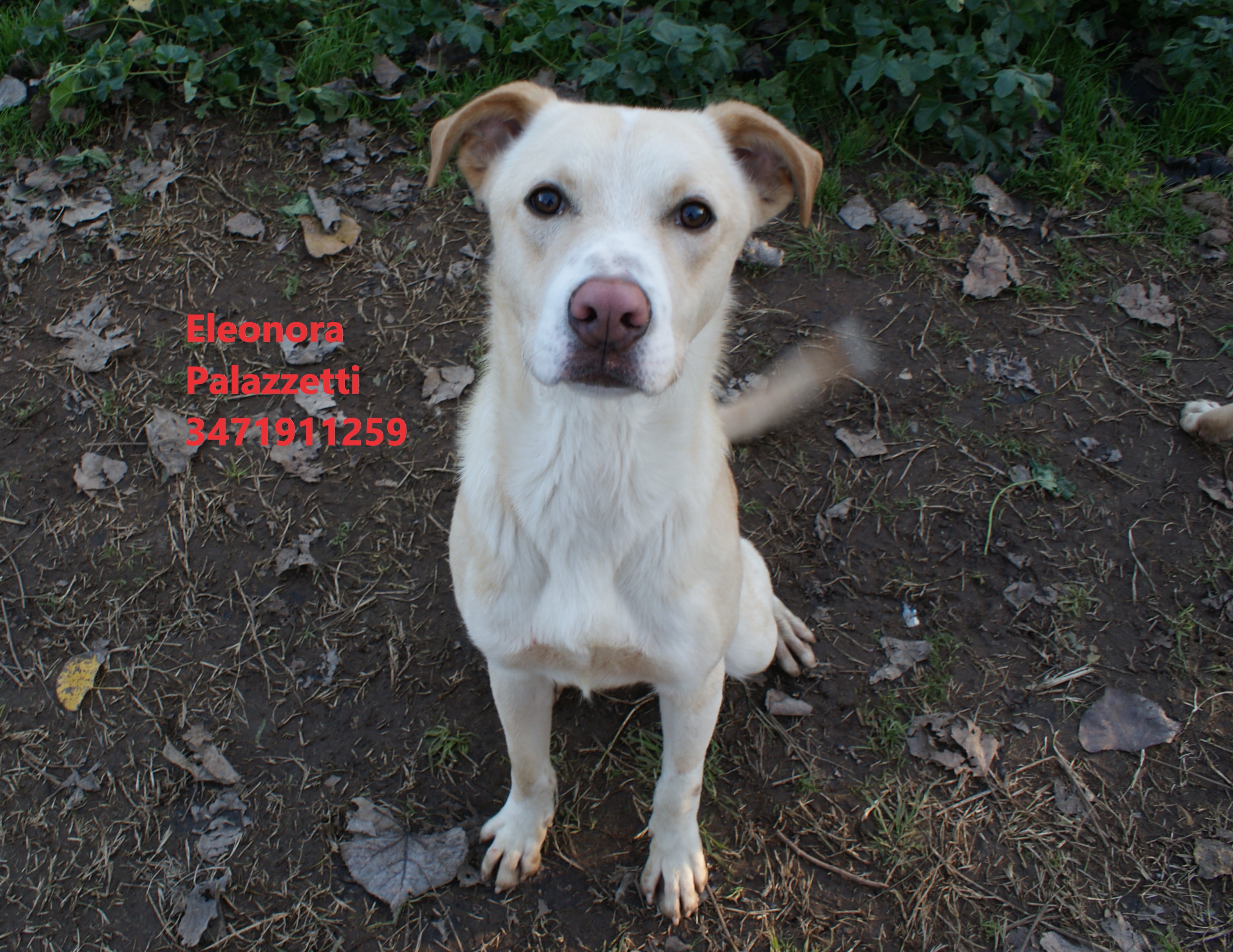 Remo 13.1.2021 n. 1