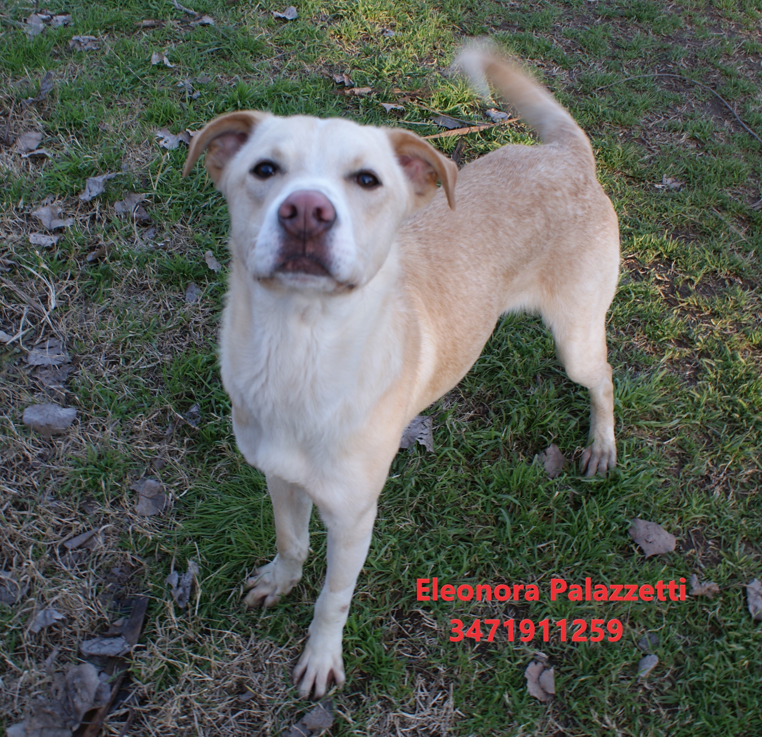 Remo 13.1.2021 n. 5