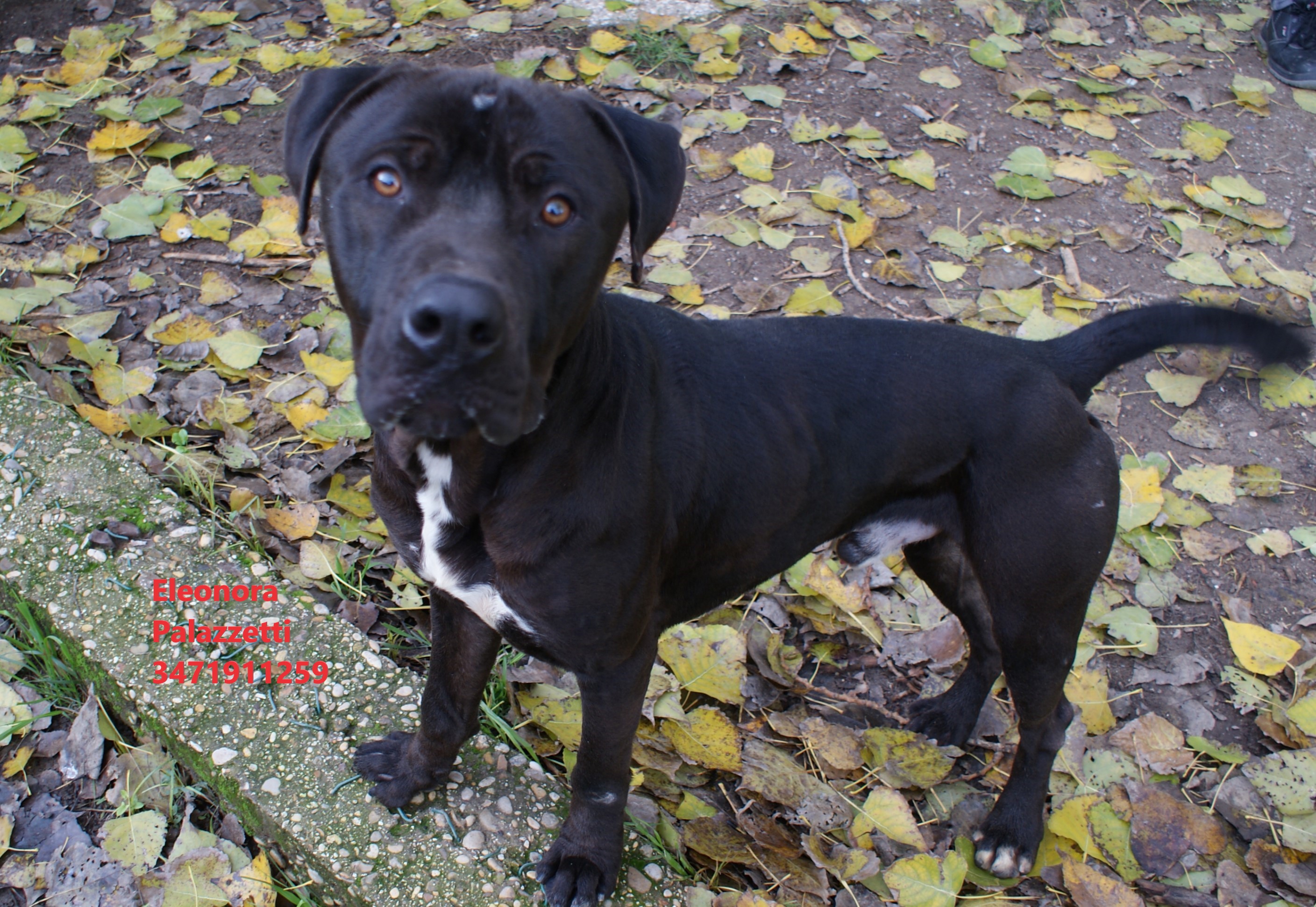 Sansone Junior 19.12.2022 n. 3