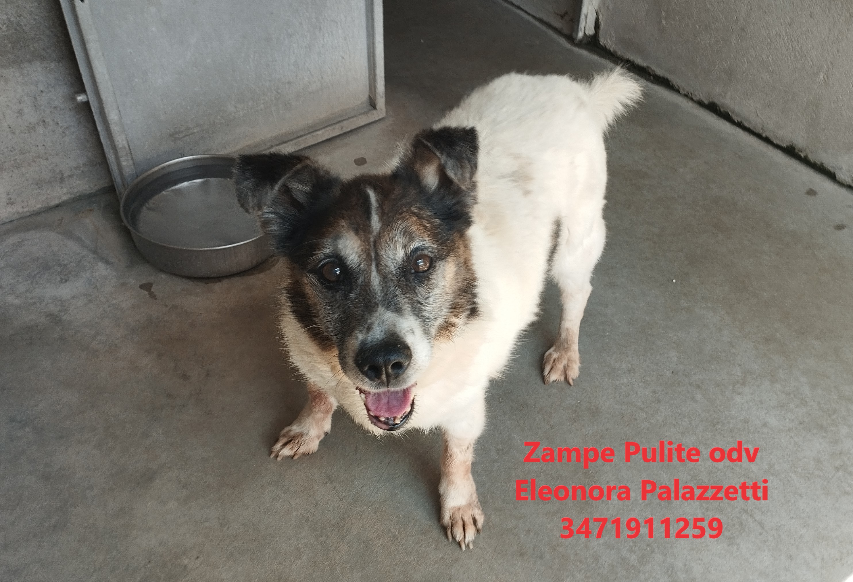 Panfi 02.07.2025 n. 1