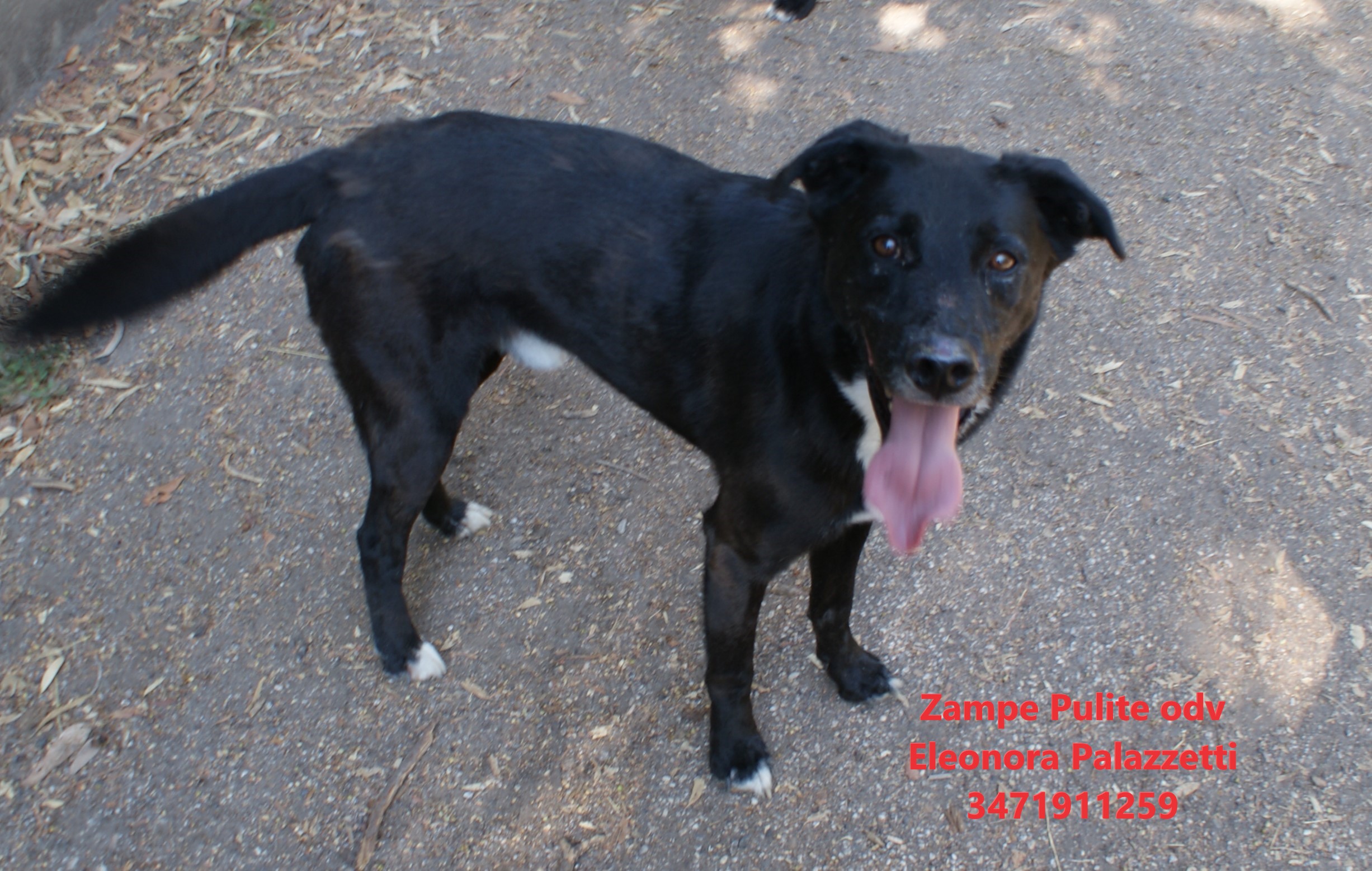 Sam 9.08.2024 n. 1