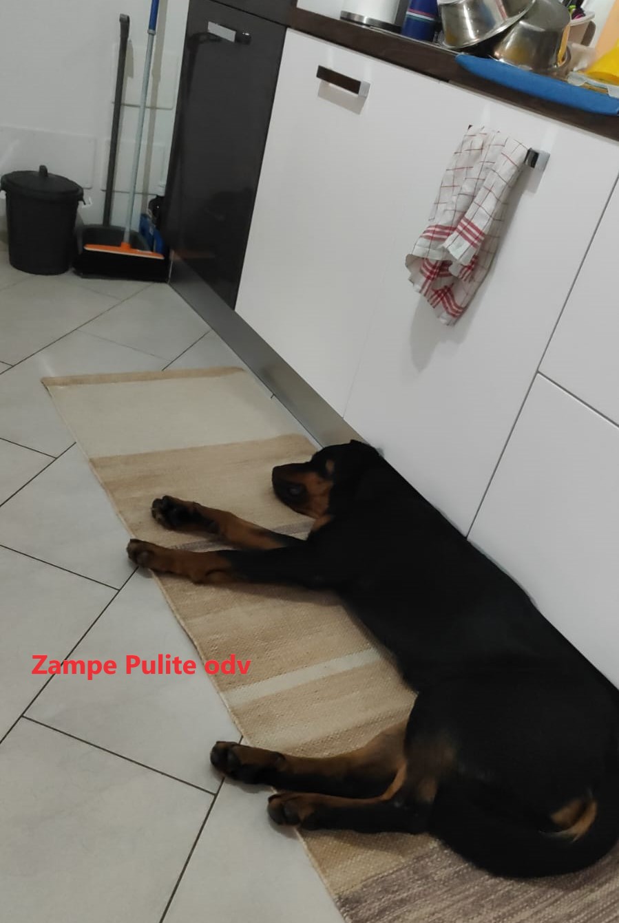 Astrid 4.01.2026 n. 5f