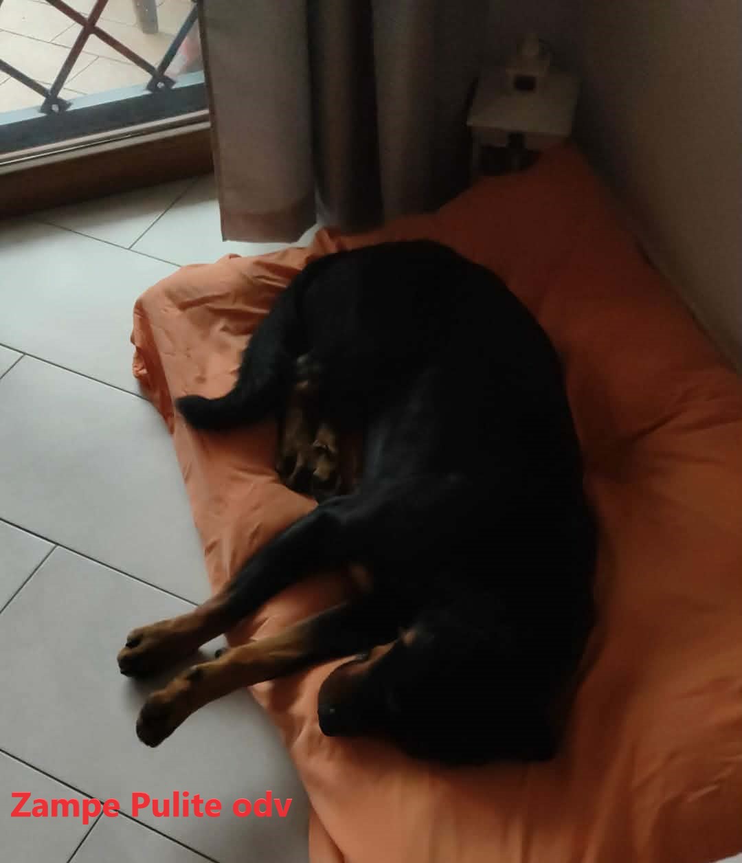 Astrid 5.01.2026 n. 3f