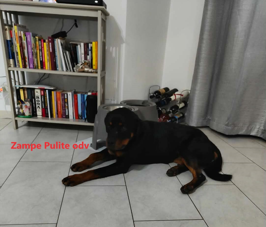 Astrid 6.01.2026 n. 1f