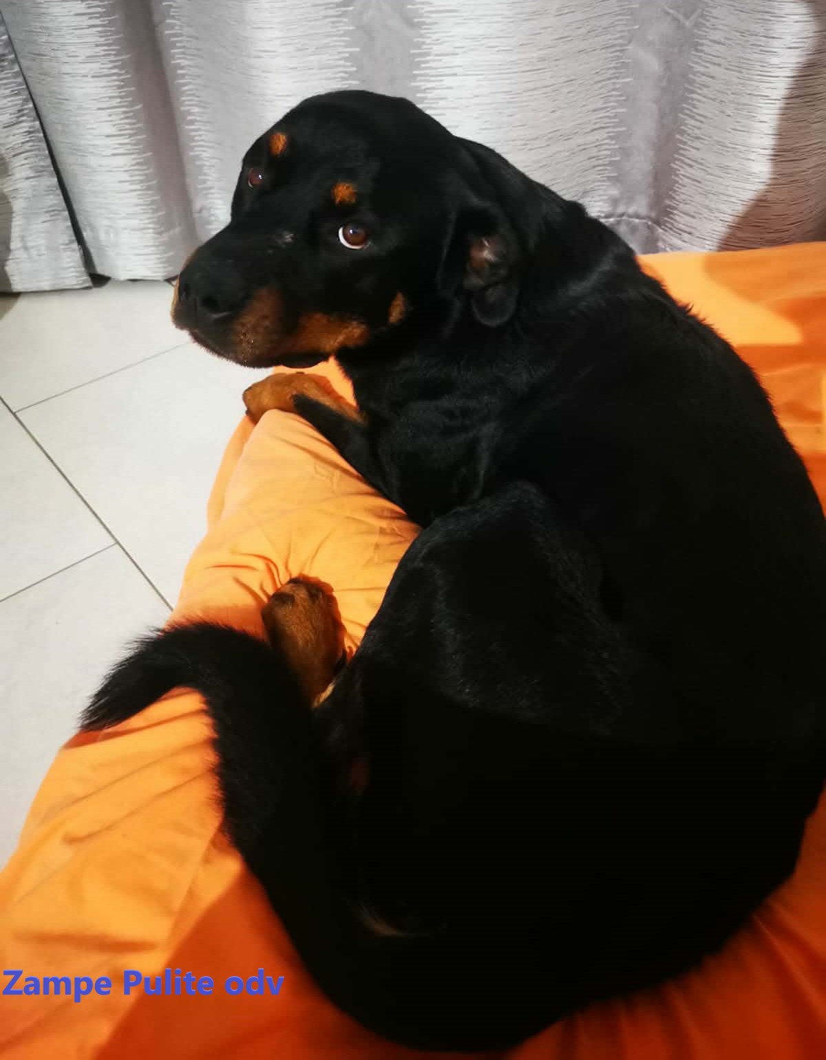 Astrid 6.01.2026 n. 2f