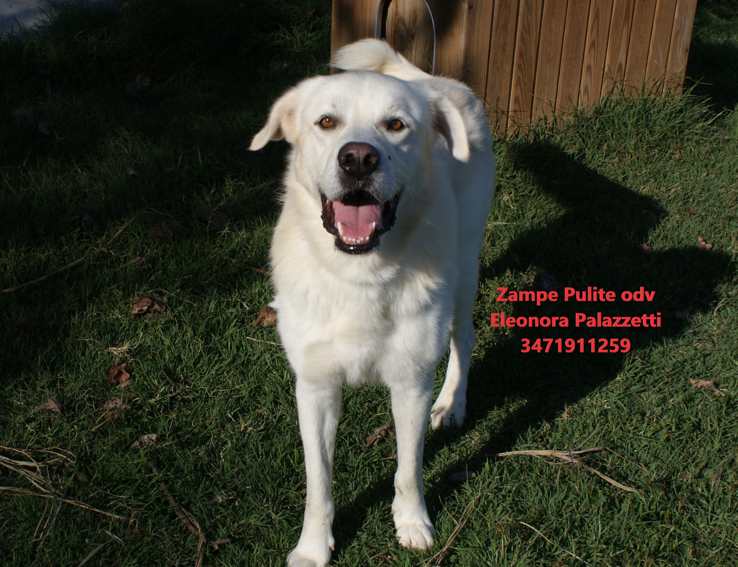 Brutus 20.10.2022 n. 3