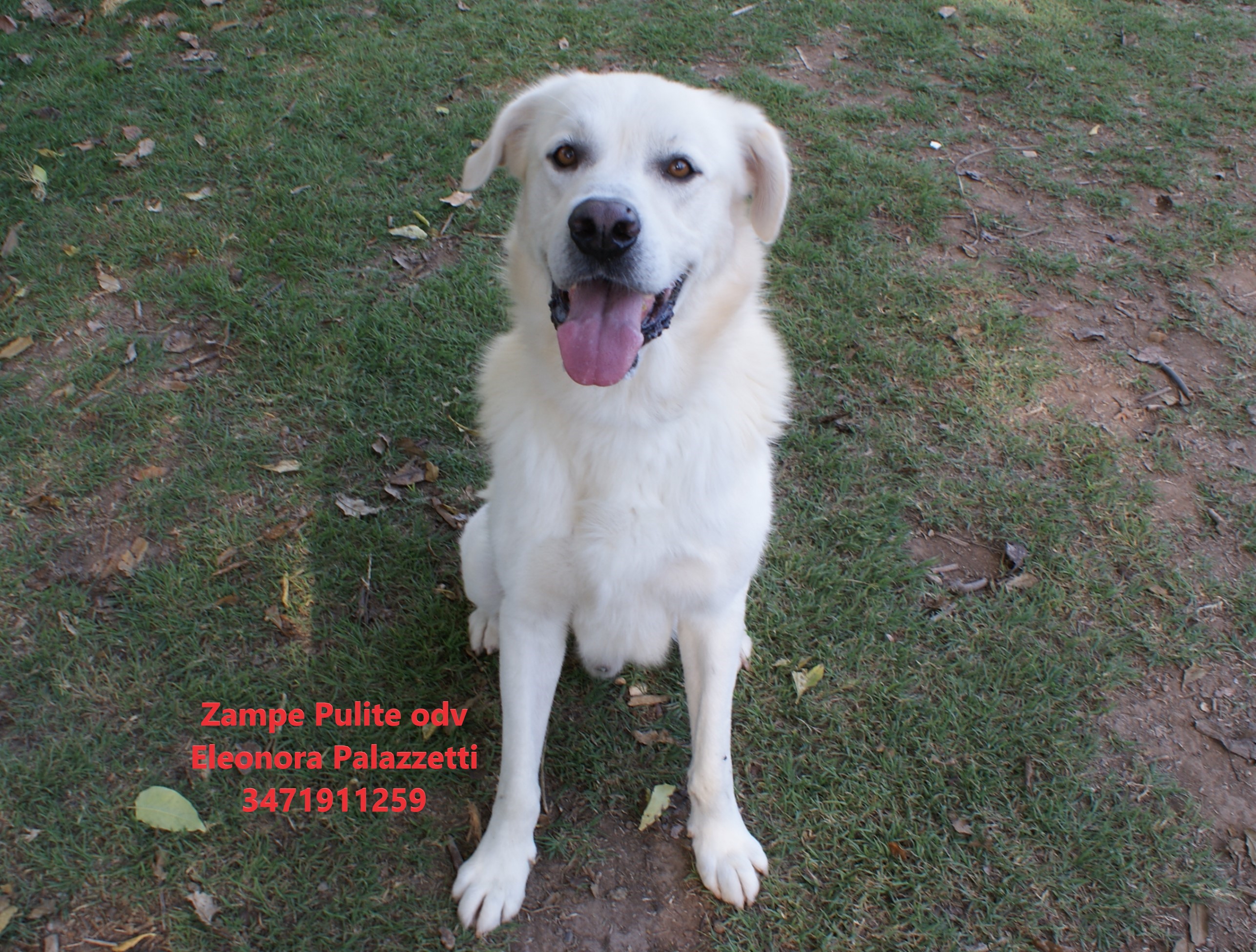 Brutus 20.10.2022 n. 6