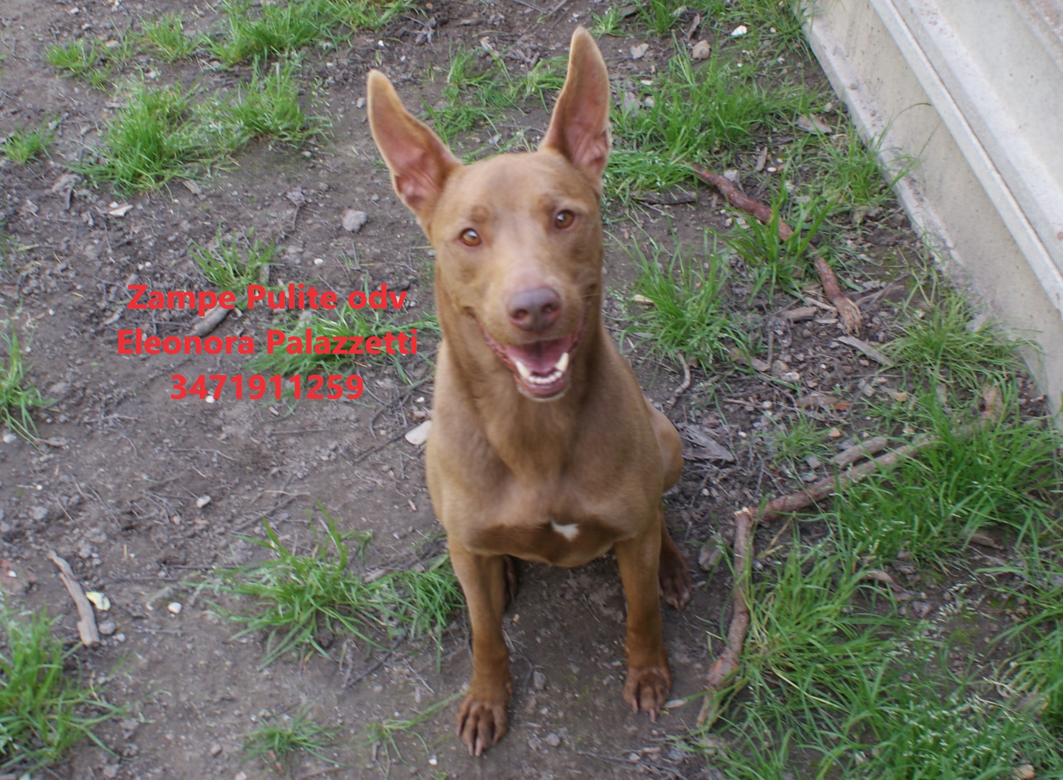 Choco 26.03.2025 n. 2
