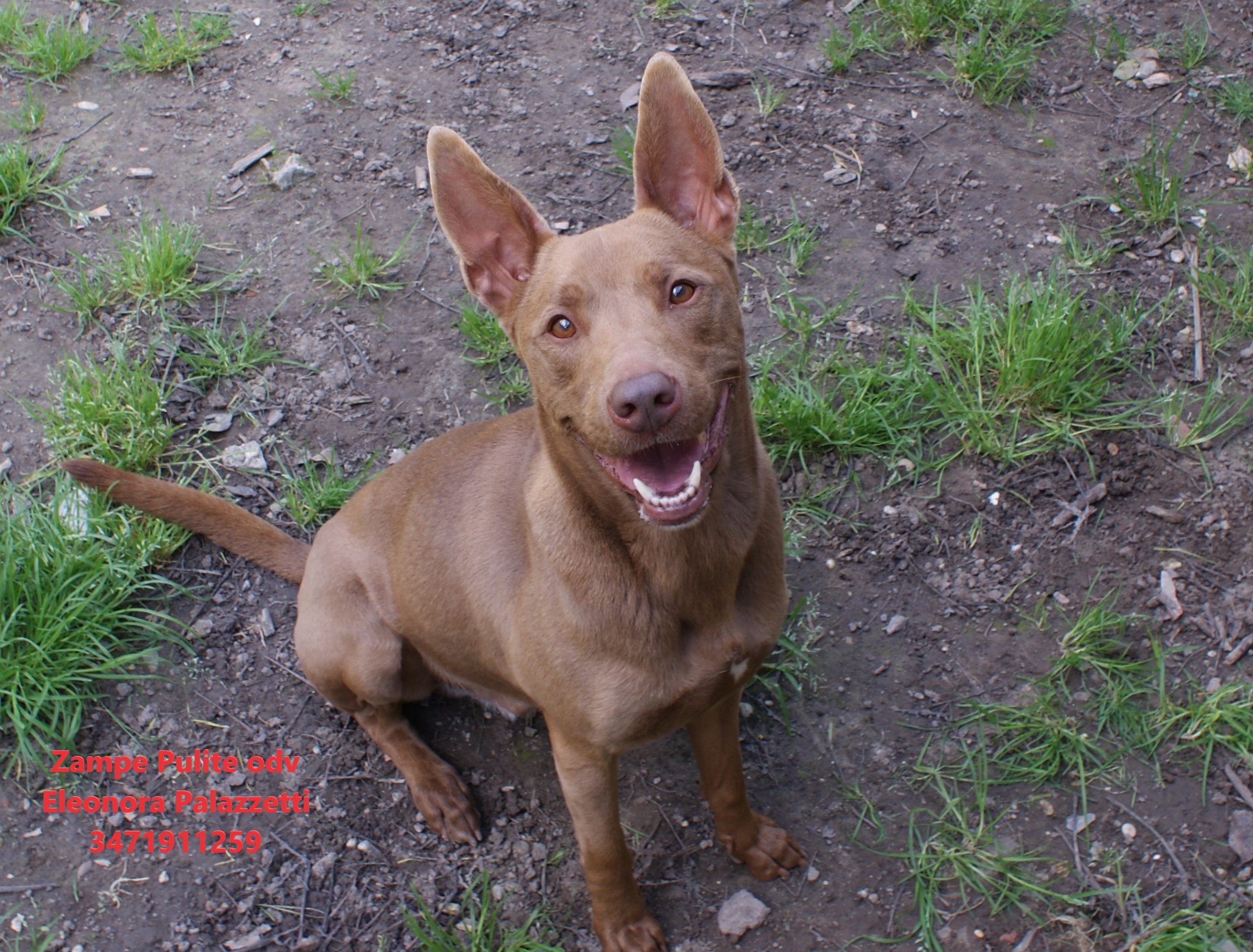 Choco 26.03.2025 n. 5