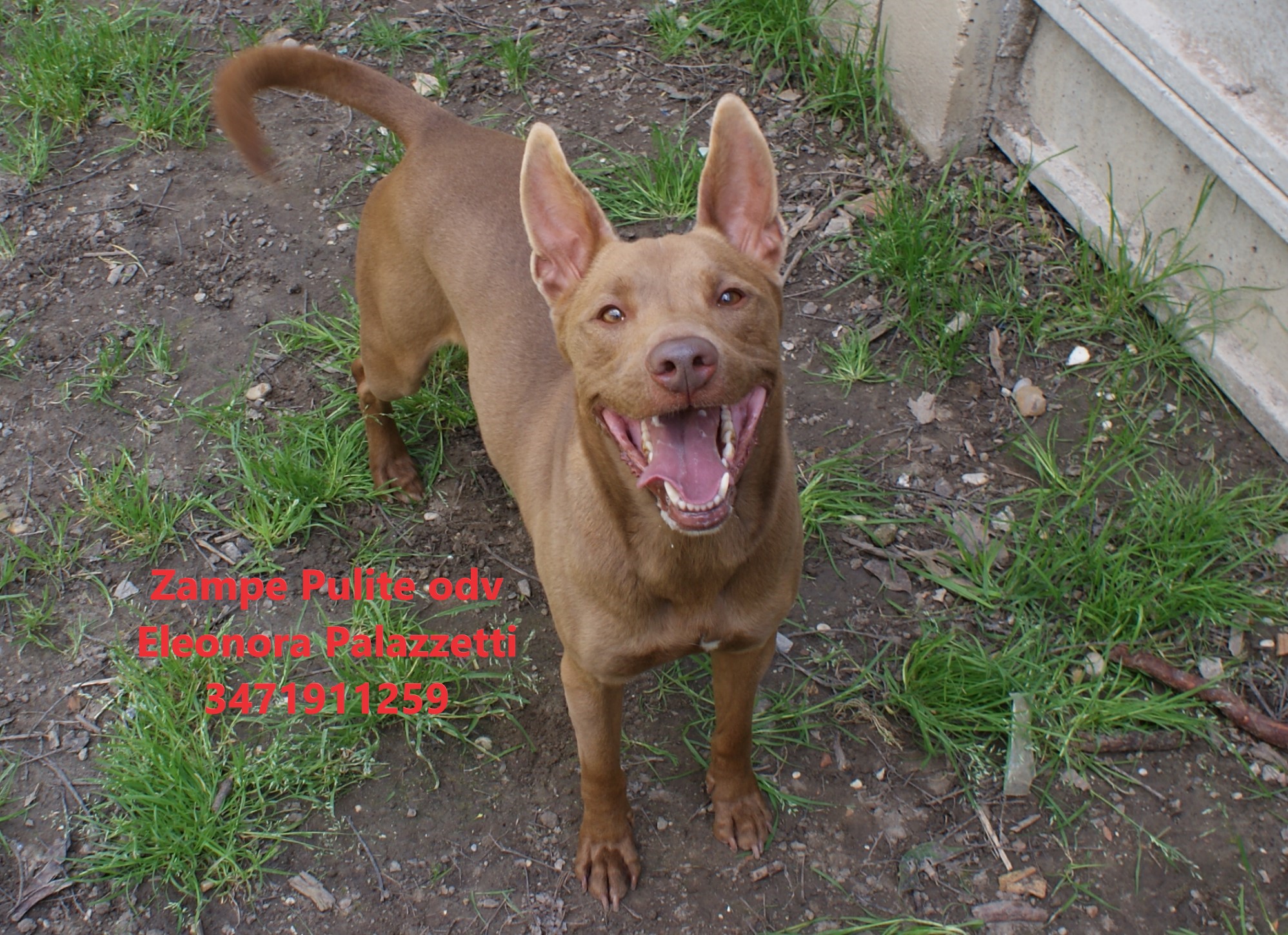 Choco 26.03.2025 n. 7