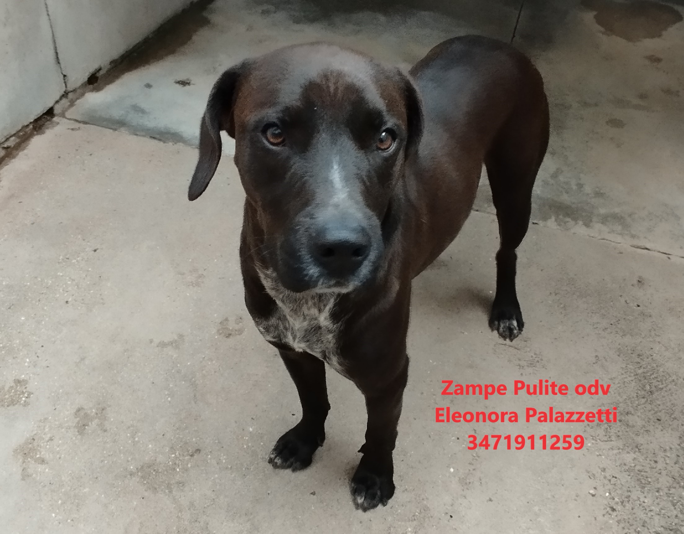Otto 03.01.2025 n. 10