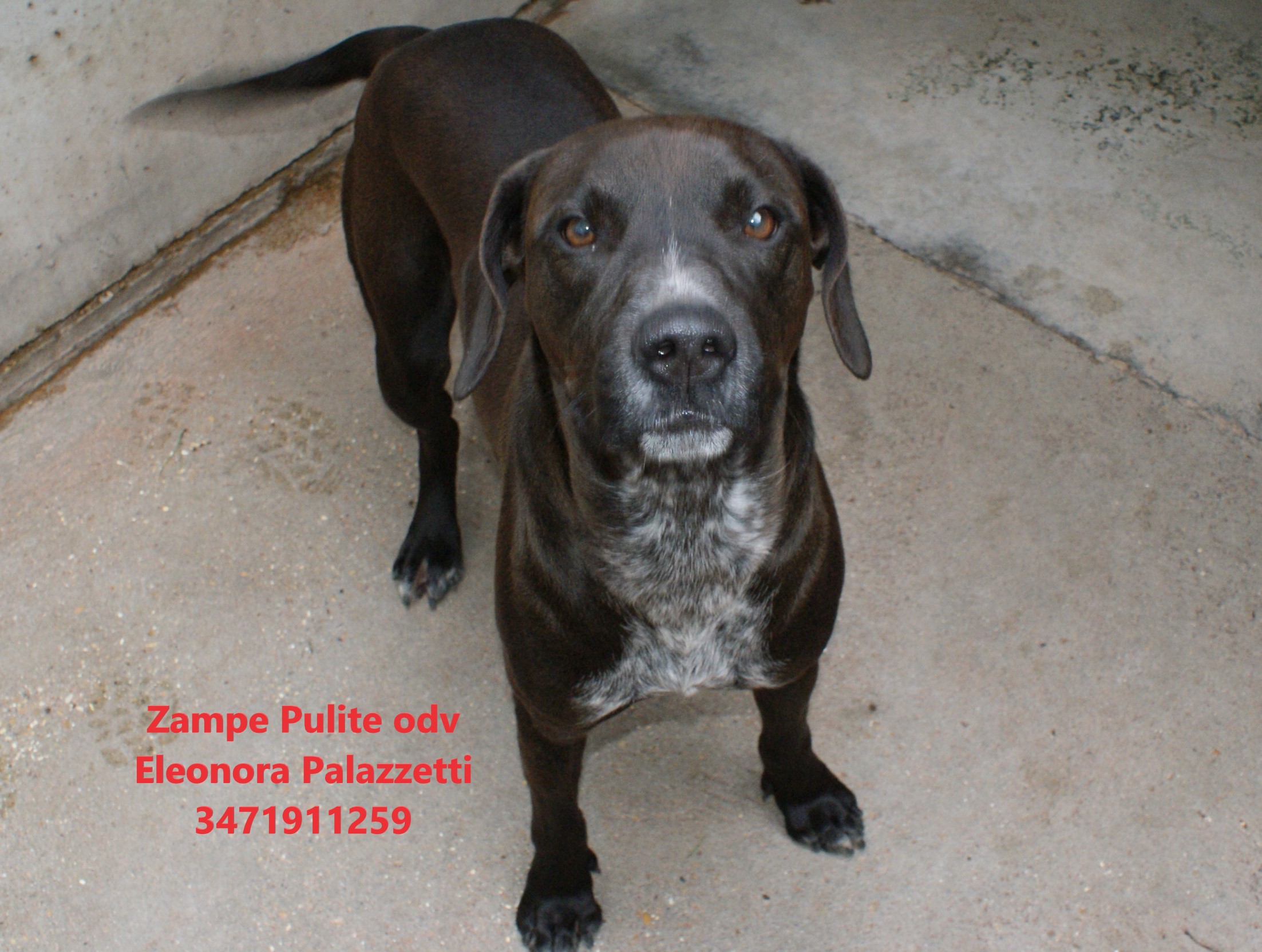 Otto 03.01.2025 n. 11