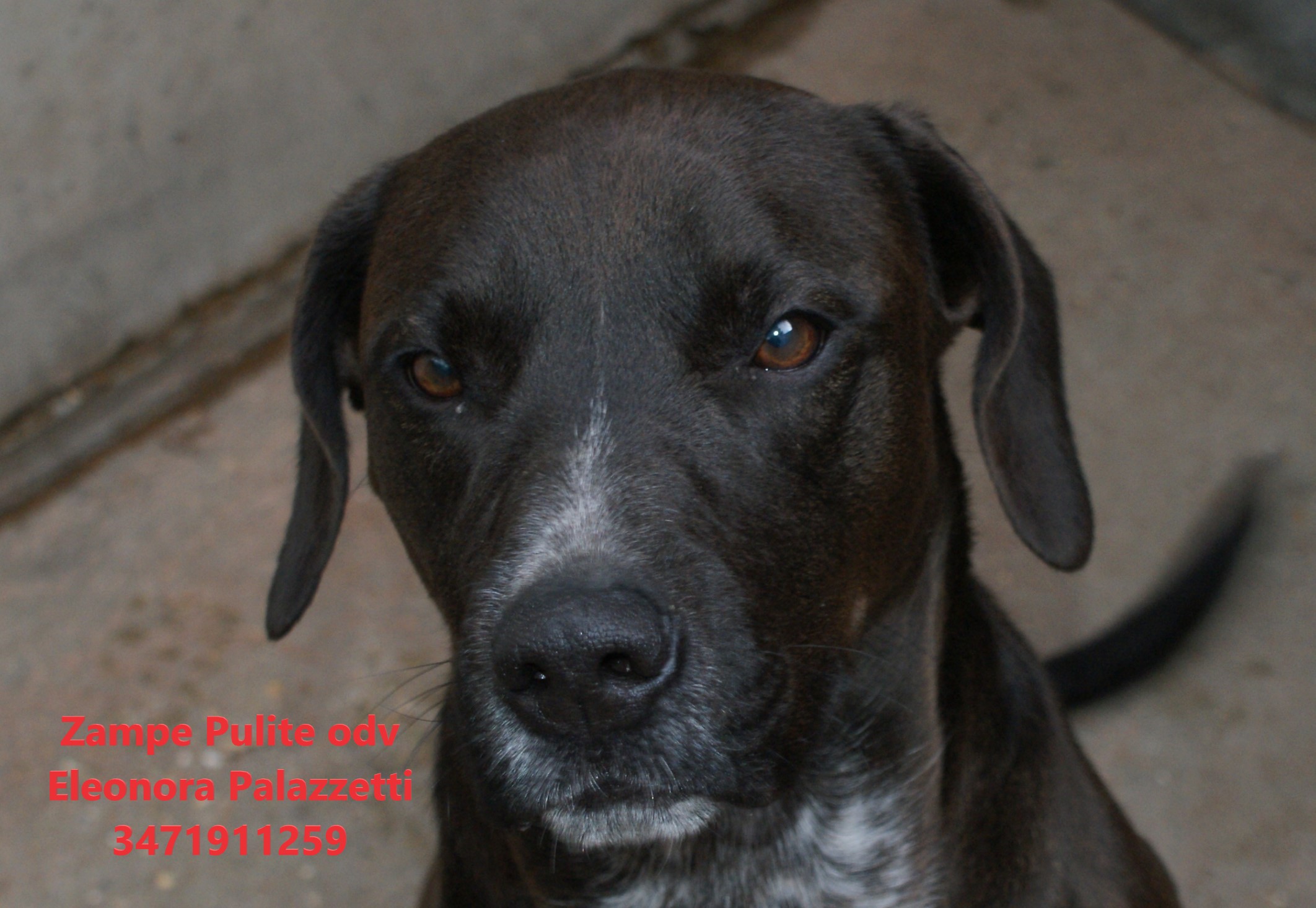 Otto 03.01.2025 n. 12