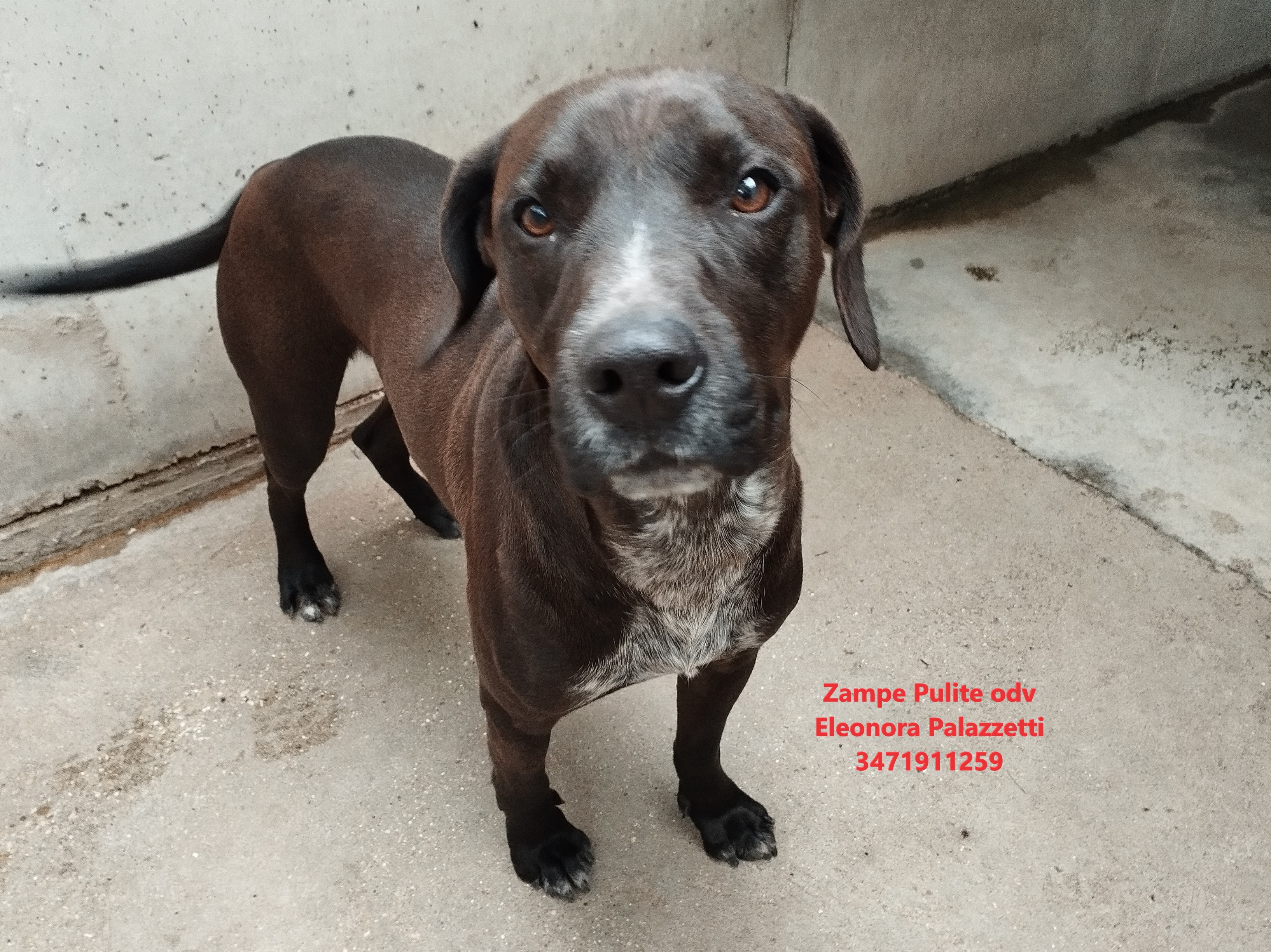 Otto 03.01.2025 n. 5