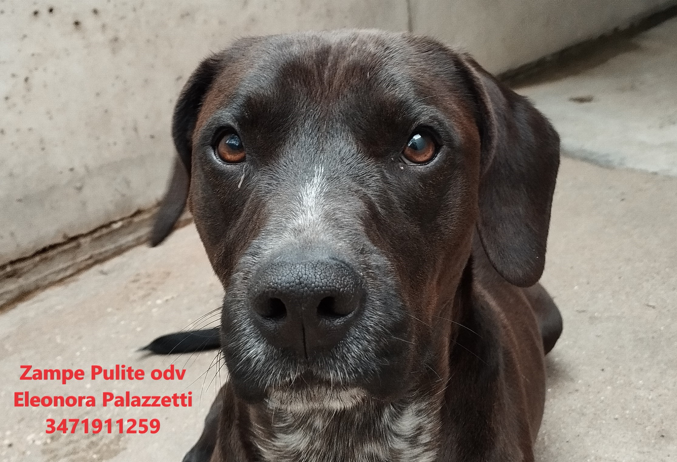 Otto 03.01.2025 n. 7