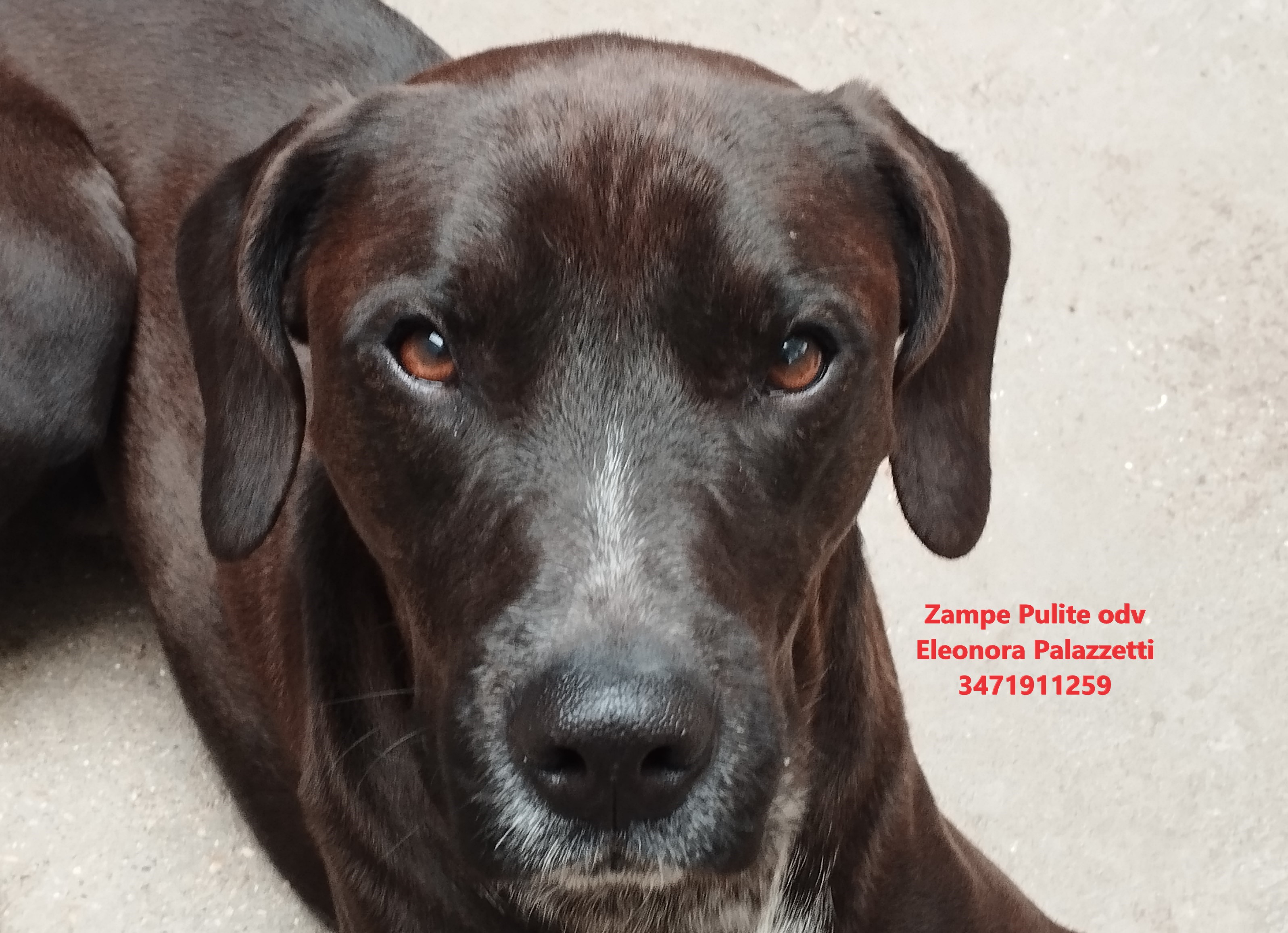 Otto 03.01.2025 n. 8