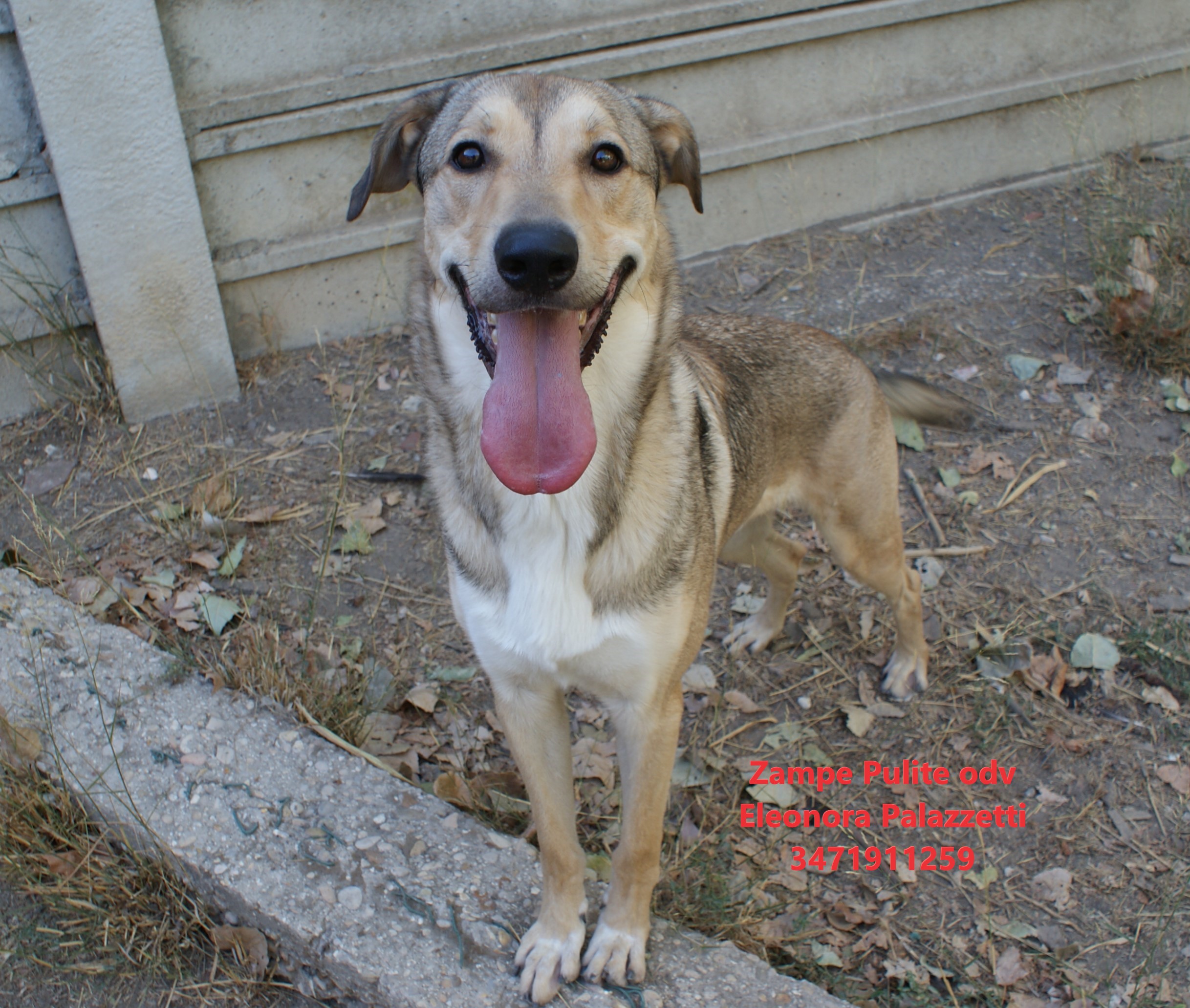 Billy 01.09.2026 n. 12