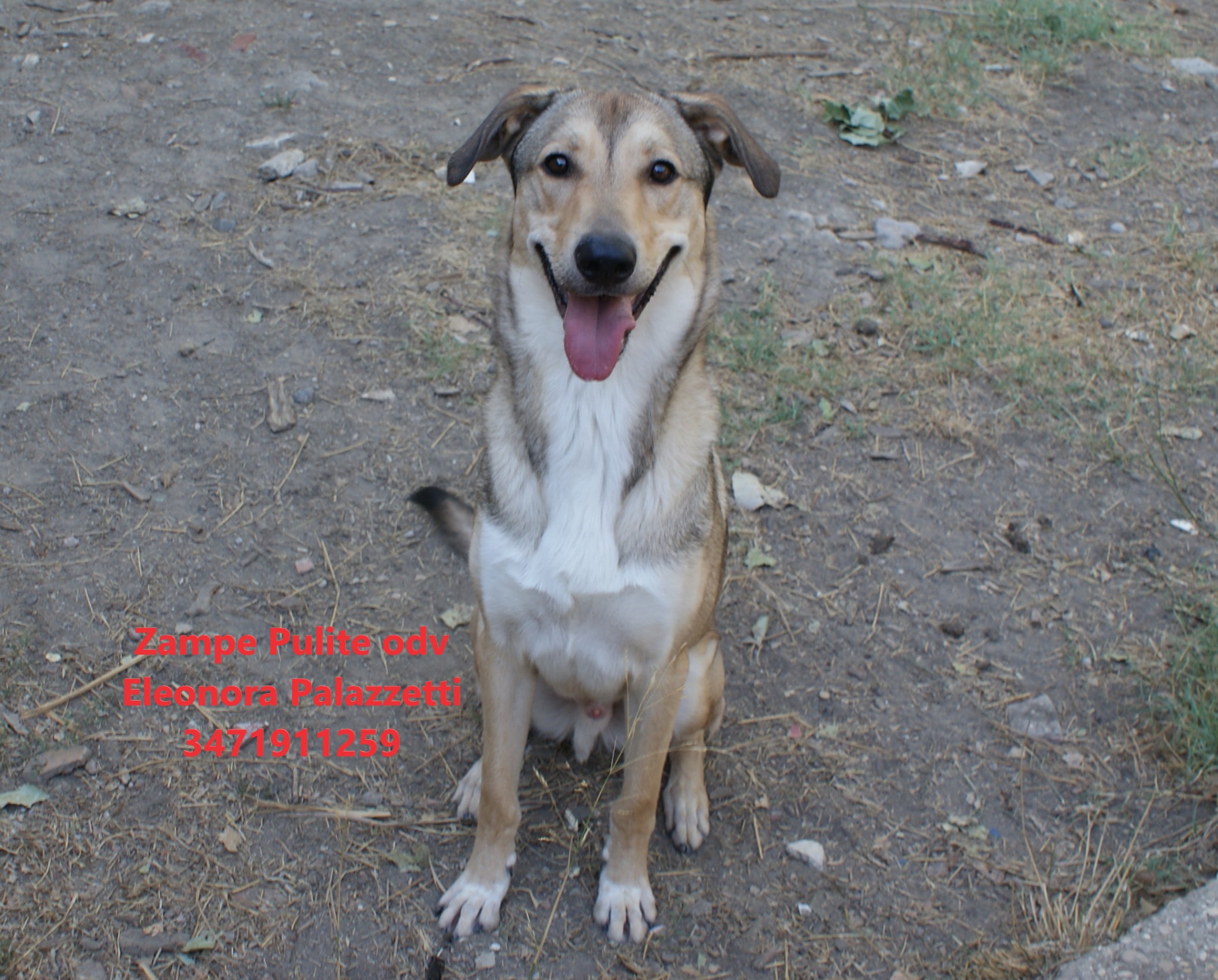 Billy 01.09.2026 n. 2