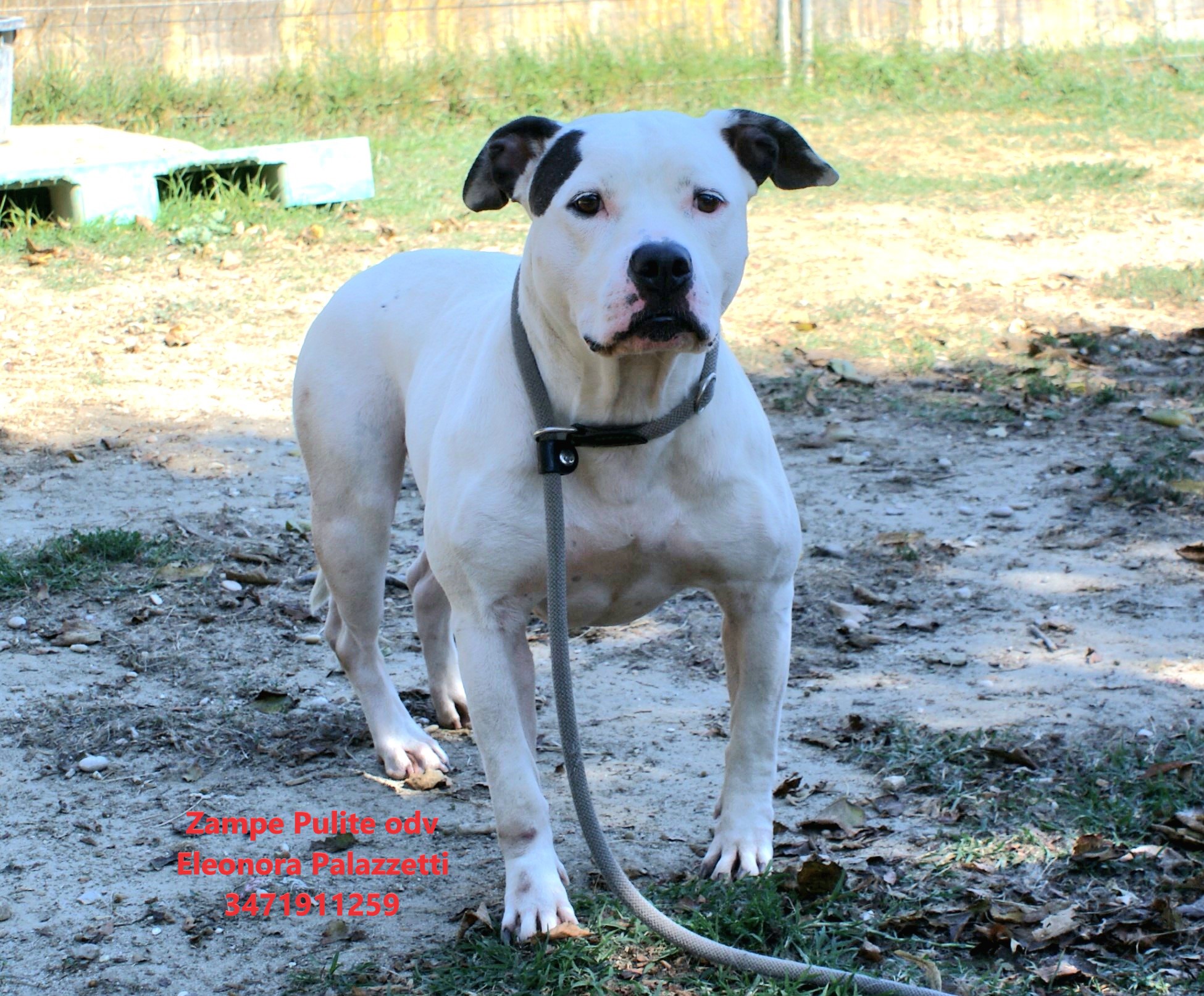 Cloe 19.09.2026 n. 11
