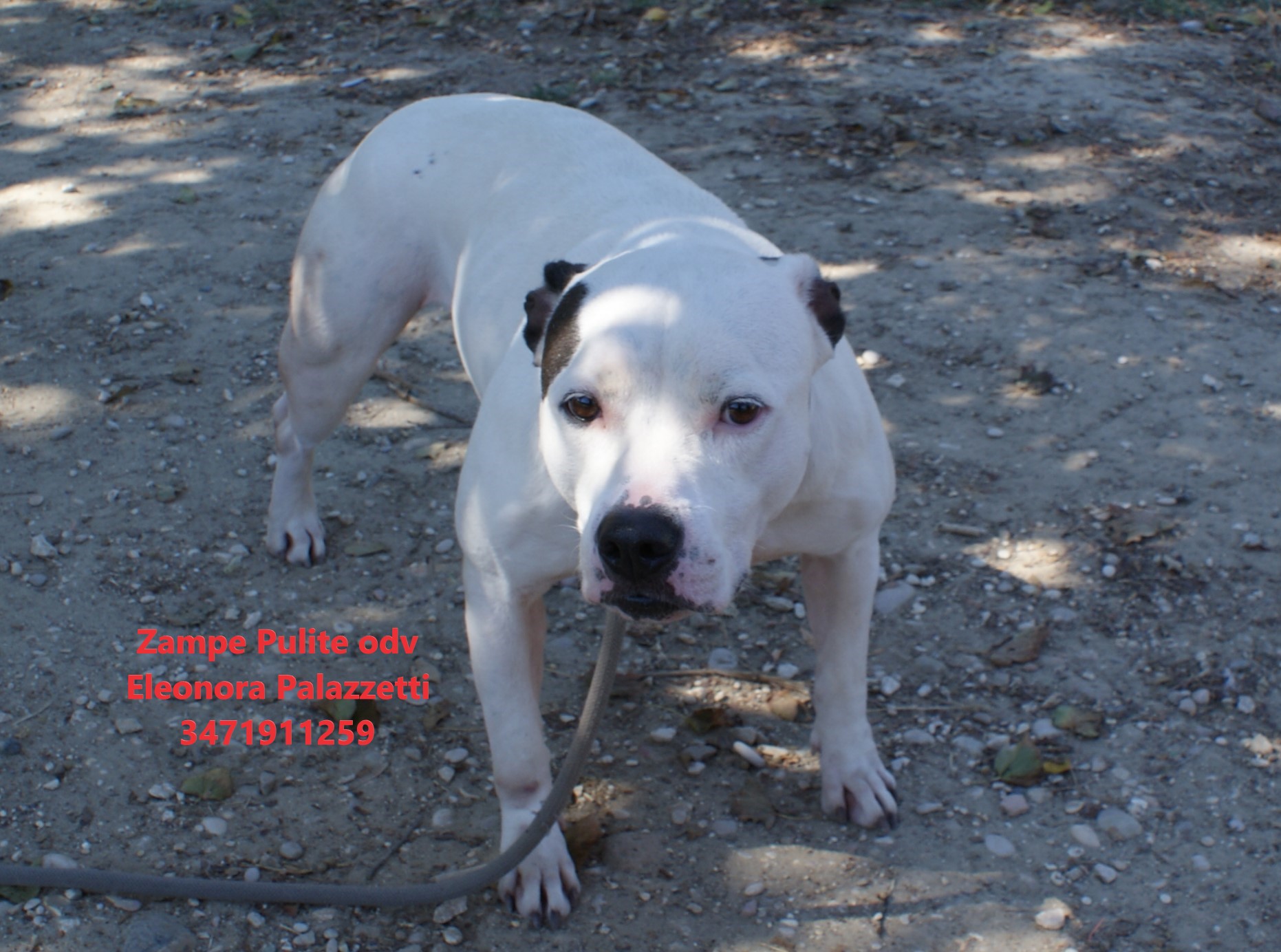 Cloe 19.09.2026 n. 7