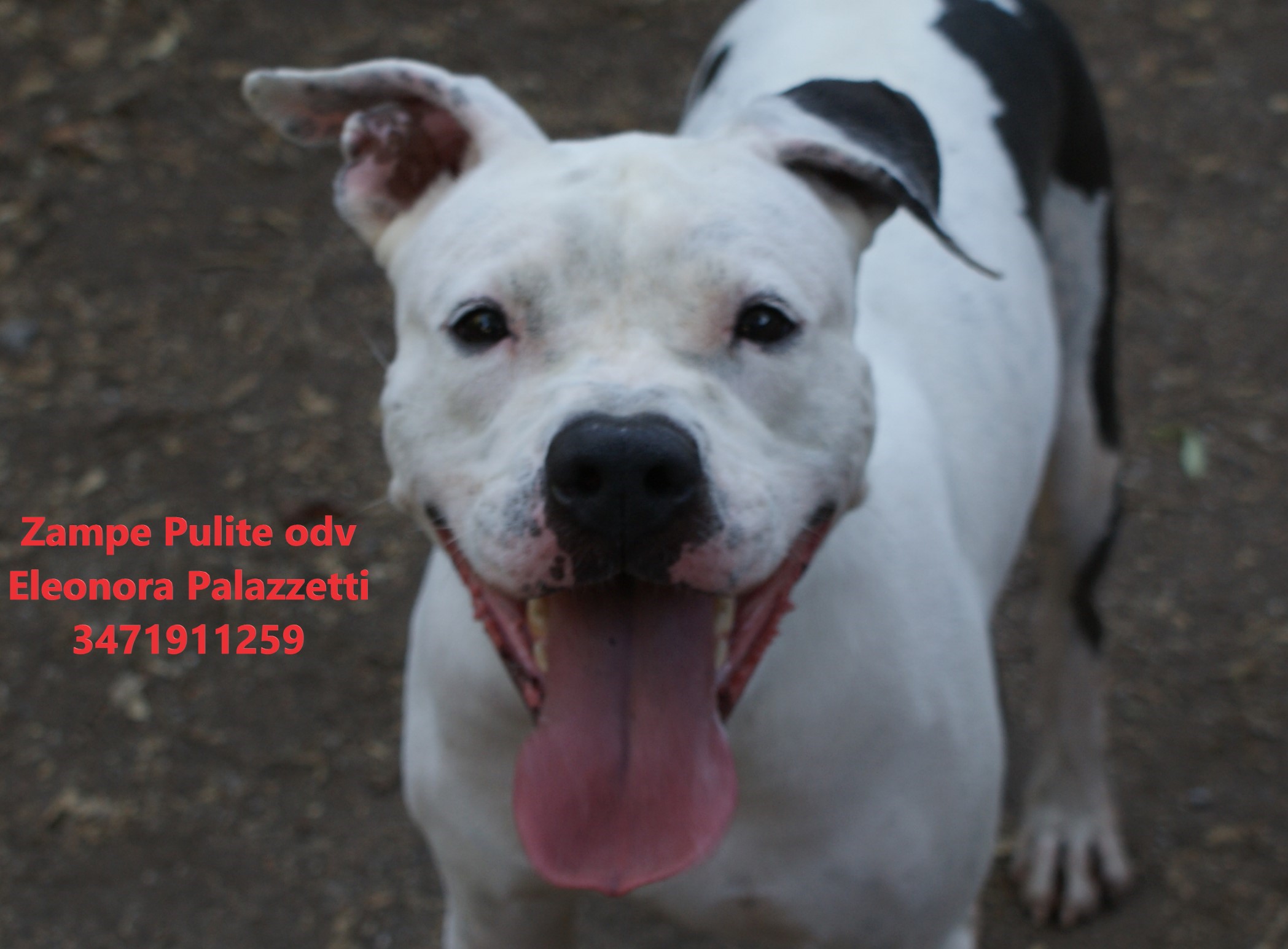 Giusy 01.09.2026 n. 6