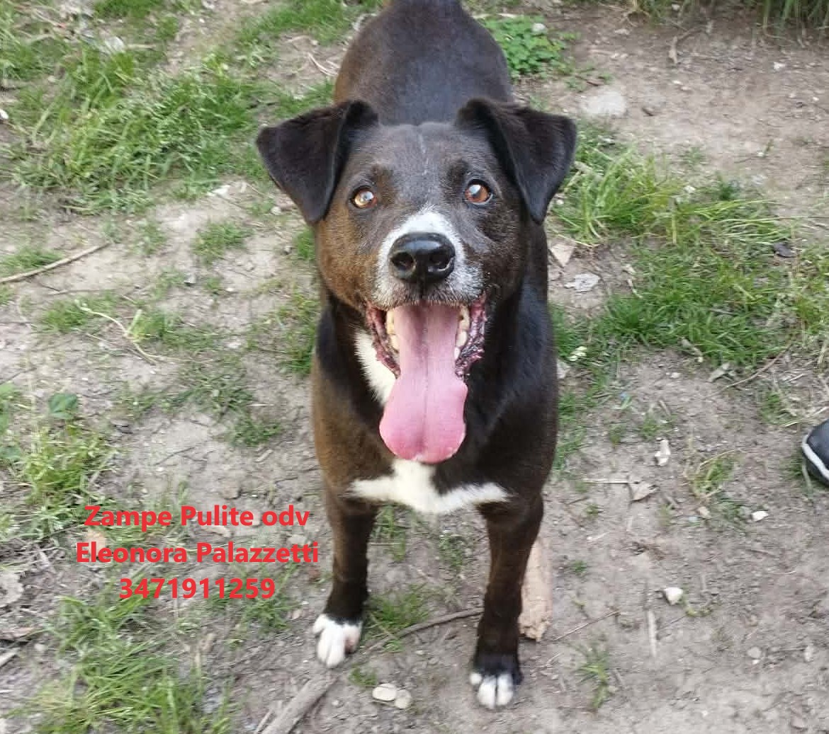 Otto 23.04.2026 n. 3