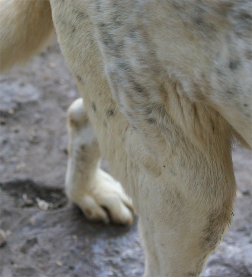 al_19.04.2012_n._4.jpg