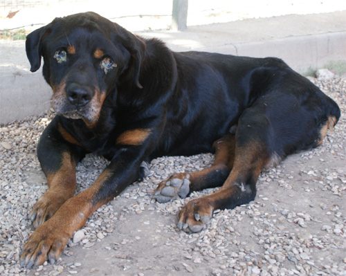 aldo_16.07.2012_n._5.jpg