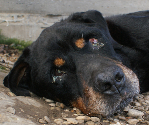aldo_6.11.2012_n._3.jpg