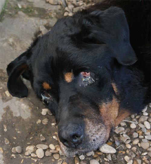 aldo_6.11.2012_n._4.jpg