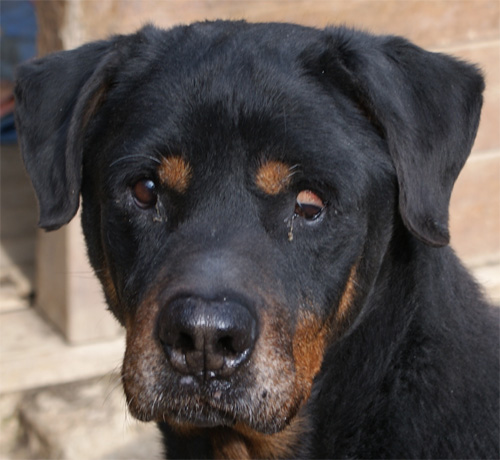 aldo_8.02.2012_n._2.jpg