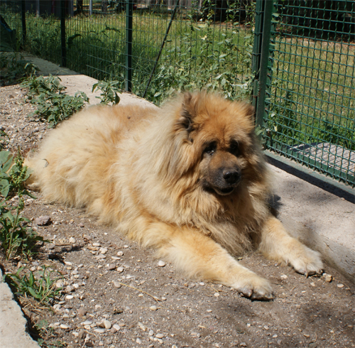 argo_18.8.2011_n._1.jpg