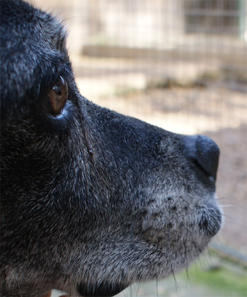 asha_2.10.2012_n._3.jpg