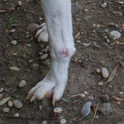 asso_24.05.2012_n._2.jpg