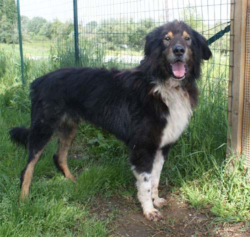 balto_25.04.2010_intero1.jpg