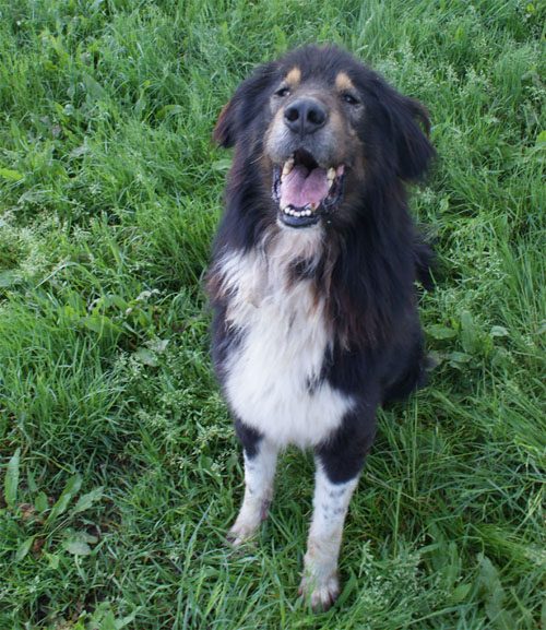balto_25.04.2010_seduto1.jpg