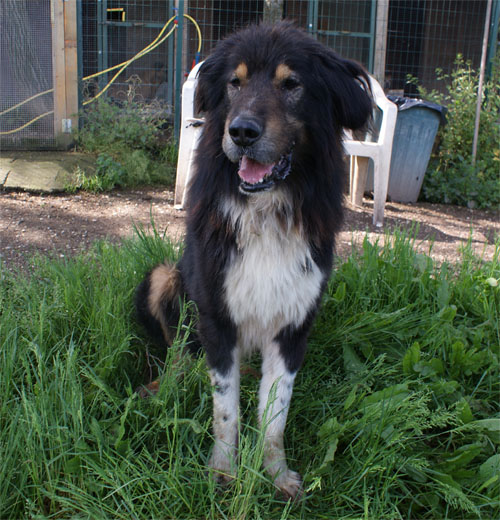 balto_25.04.2010_seduto2.jpg