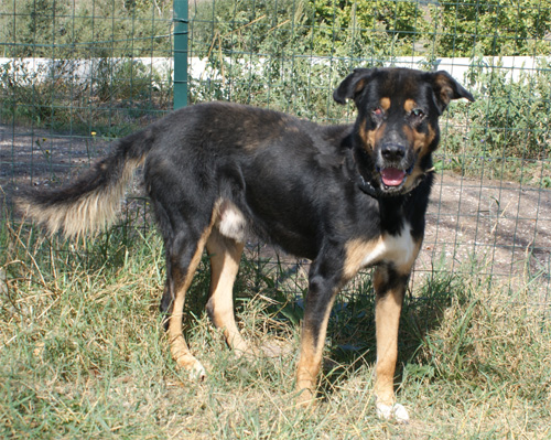 bau_5.10.2011_n._5.jpg