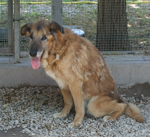 cesare_27.06.2012_n._1.jpg