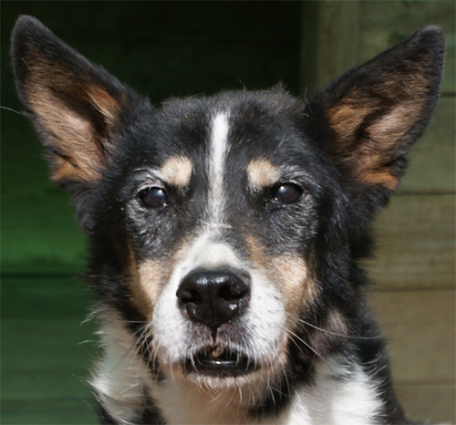chicco_2.10.2012_n._7.jpg