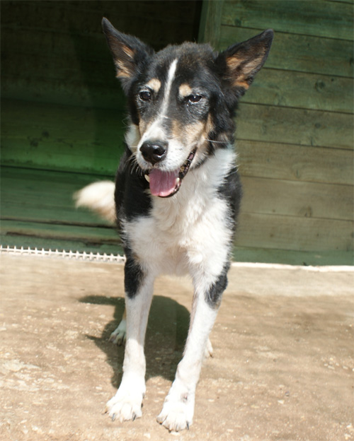 chicco_2.10.2012_n._9.jpg
