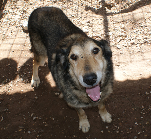 ciccio_2.10.2012_n._2.jpg
