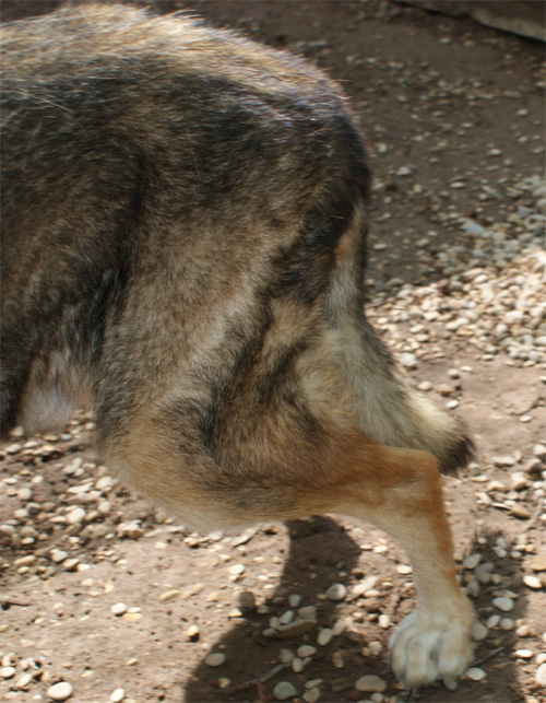 ciccio_2.10.2012_n._3.jpg