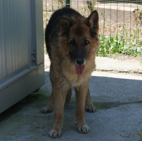 dermy_6.06.2010_intera2.jpg