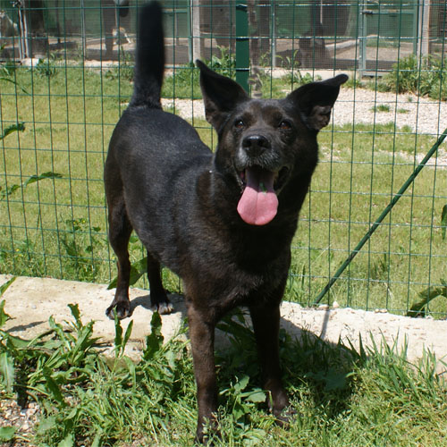 frodo_25.04.2010_intero1.jpg