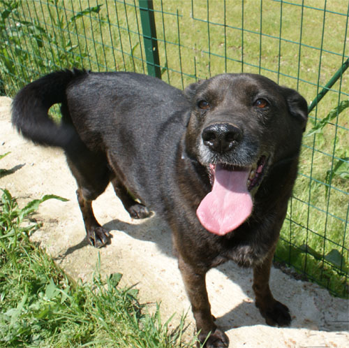 frodo_25.04.2010_intero2.jpg