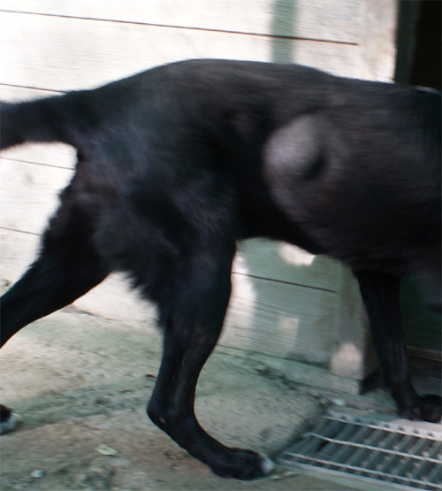 ikeo_16.11.2012_n._1.jpg