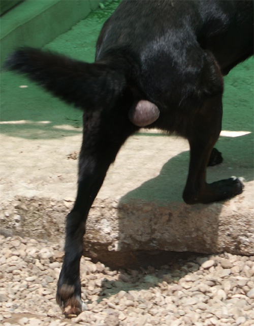ikeo_30.07.2012_n._2.jpg
