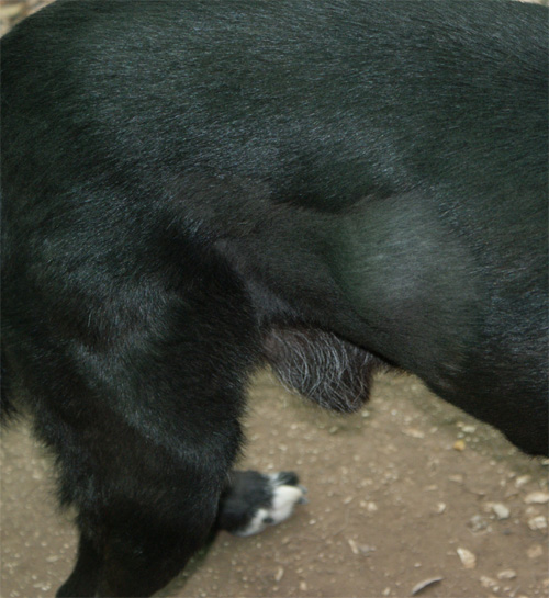 ikeo_6.11.2012_n._3.jpg