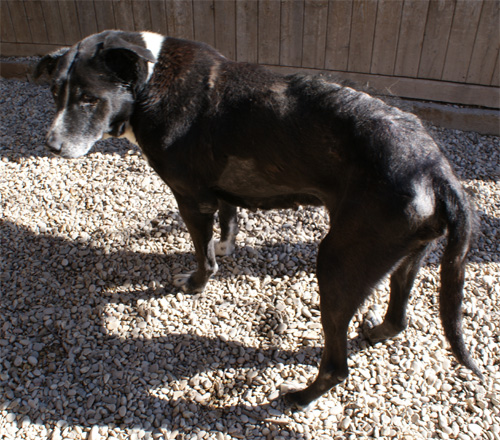 iris_22.02.2012_n._1.jpg